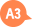 A3