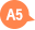 A5
